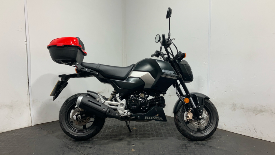 Honda Grom MSX125 (24YM)